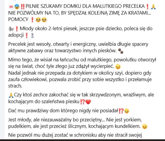 Robwalka Wolf tweet media