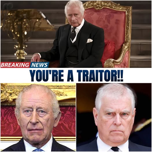 aileen B 🇬🇧🏴󠁧󠁢󠁥󠁮󠁧󠁿 tweet media