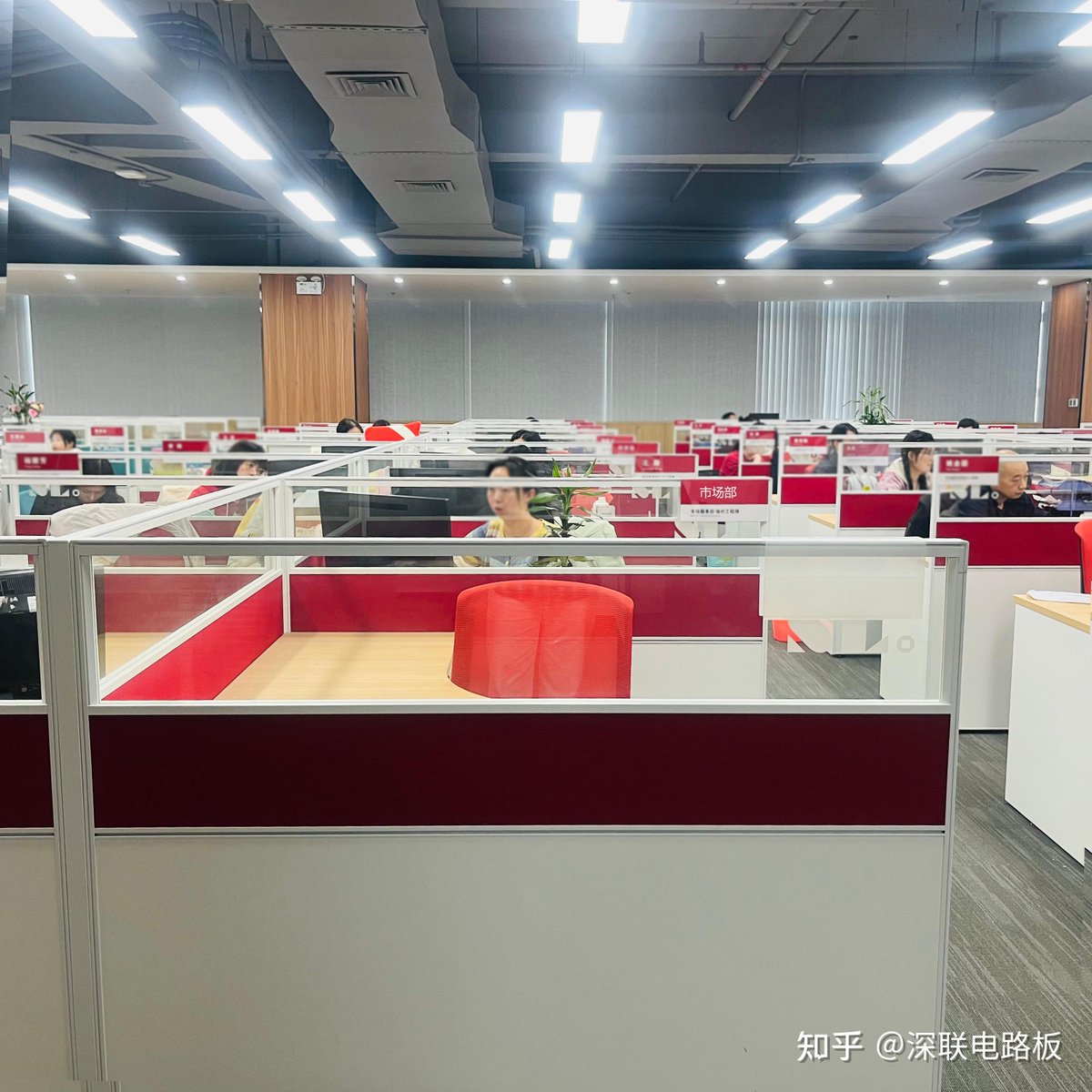 Shay Farrall tweet media