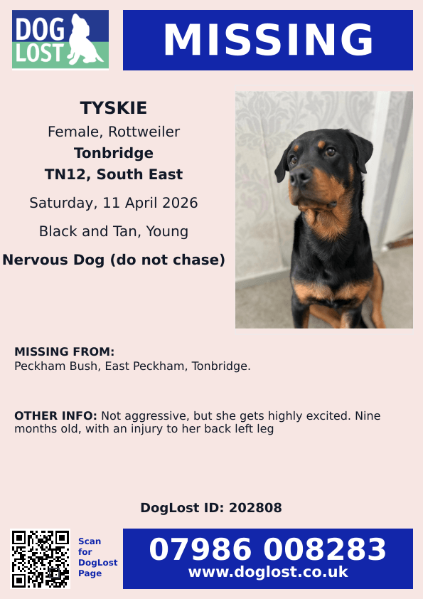 MissingPetsGB's tweet image. TYSKIE is #missing from Peckham Bush #Tonbridge #TN12 since 11 April 2026
She is nine months old, with an injury to her back left leg
Please don’t chase or try to catch her, please contact asap if any sightings #stolendoghour