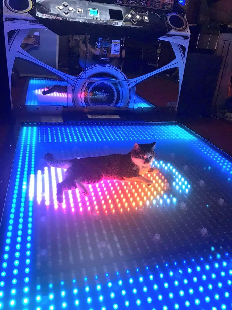 Arcade Random Posting tweet media