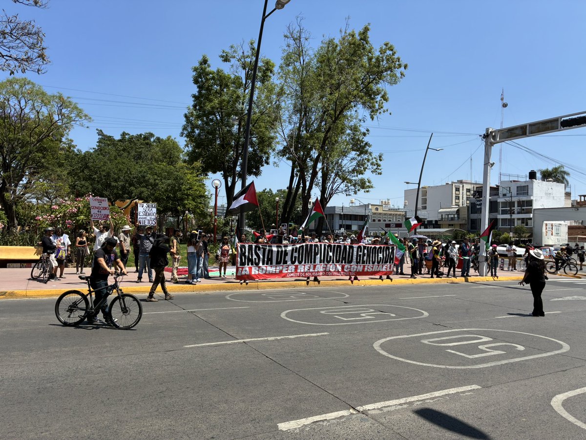 Carlos Estrada C. tweet media