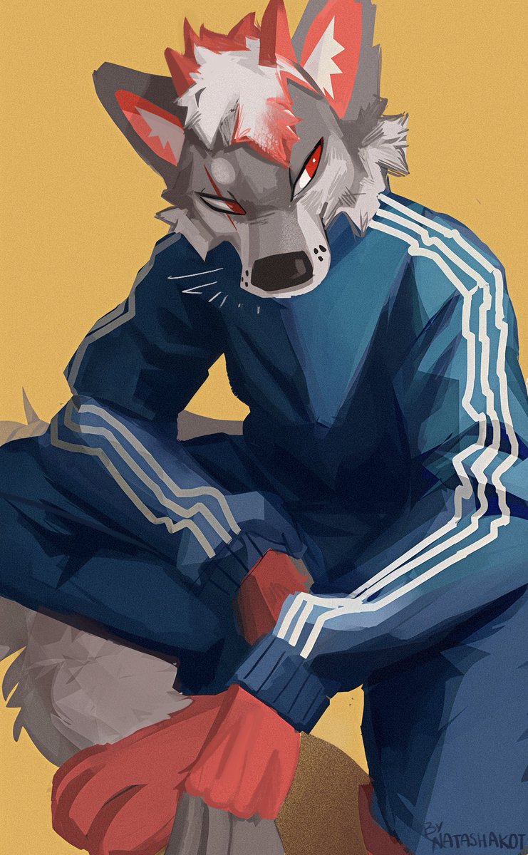 bad doggie