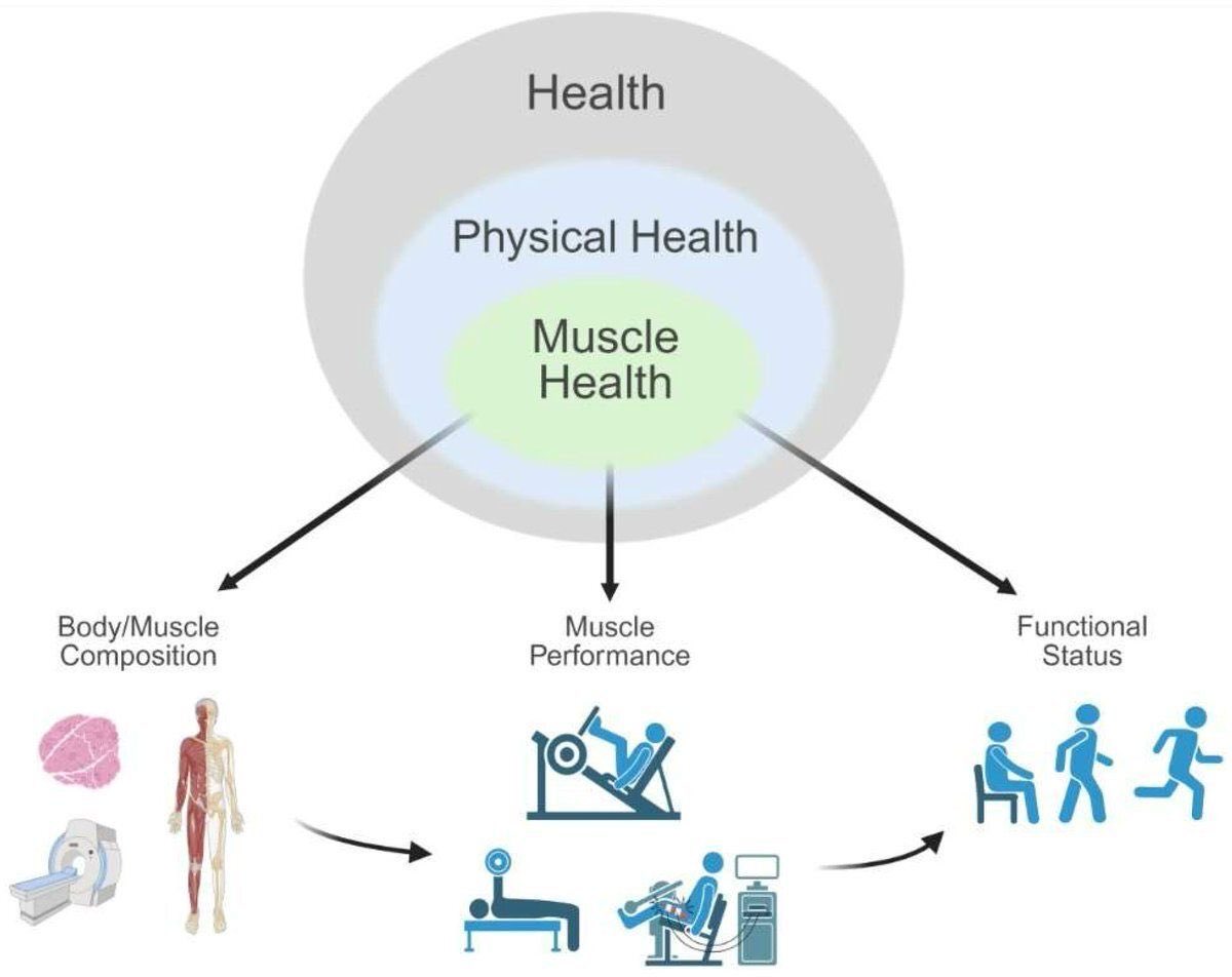 Gorka Orive tweet media