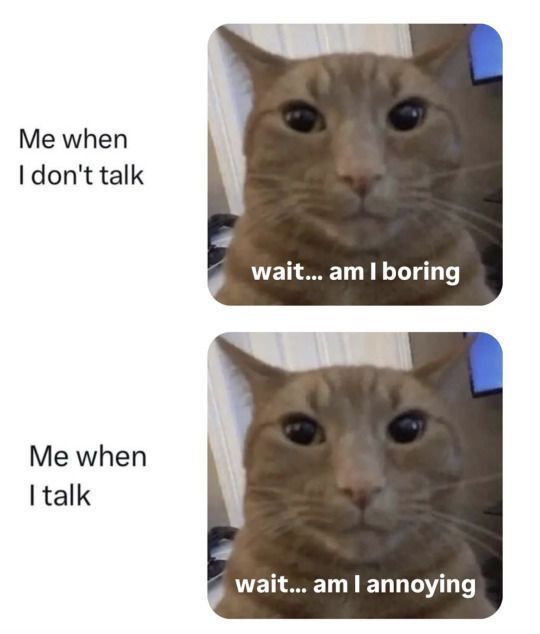 cats with powerful aura tweet media