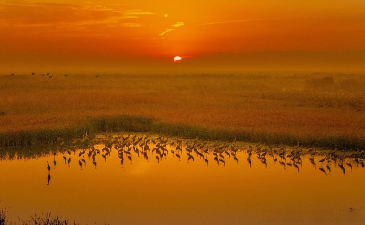 André van Zyl tweet media