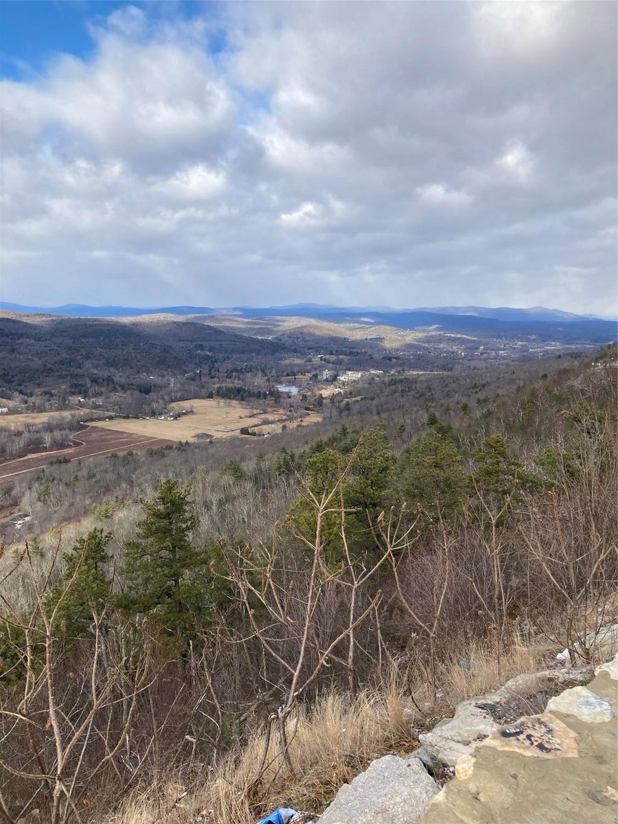 Luxury Real Estate tweet media