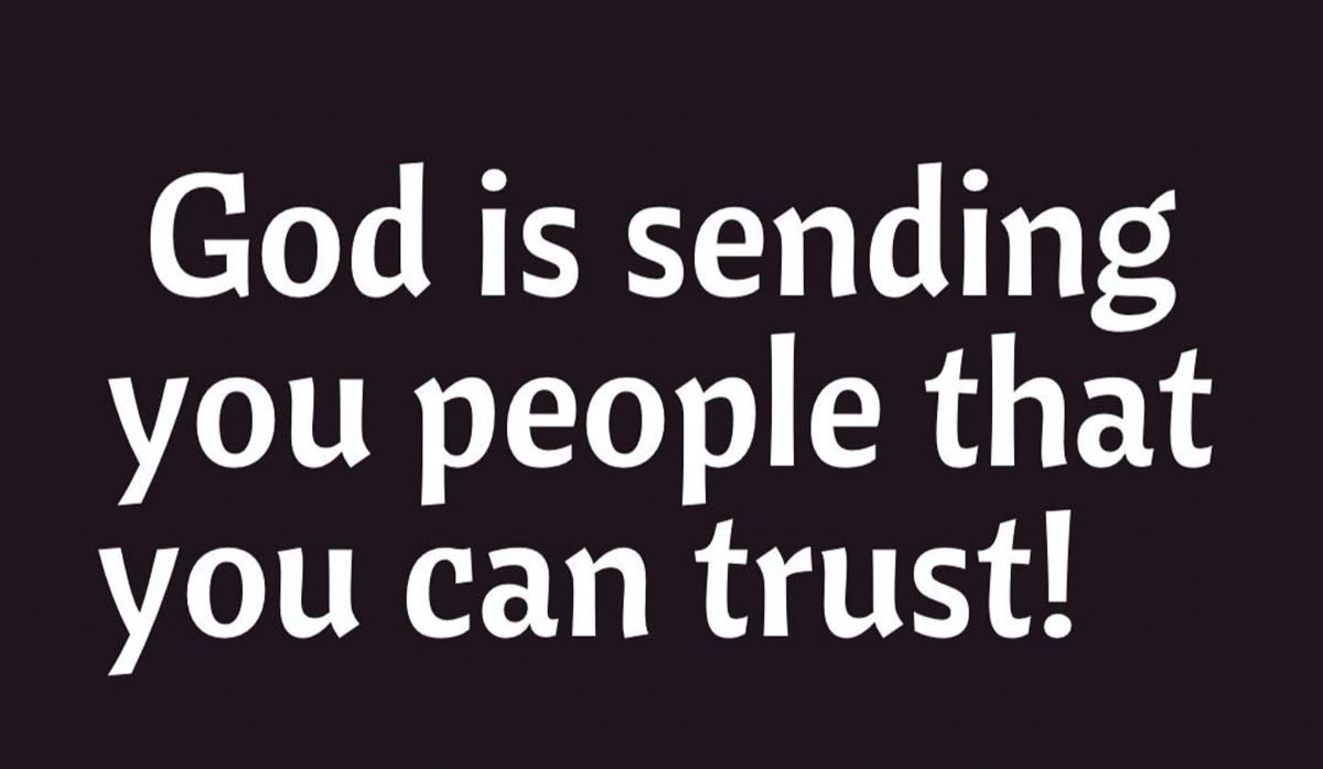 ProgressCode🌺 tweet media