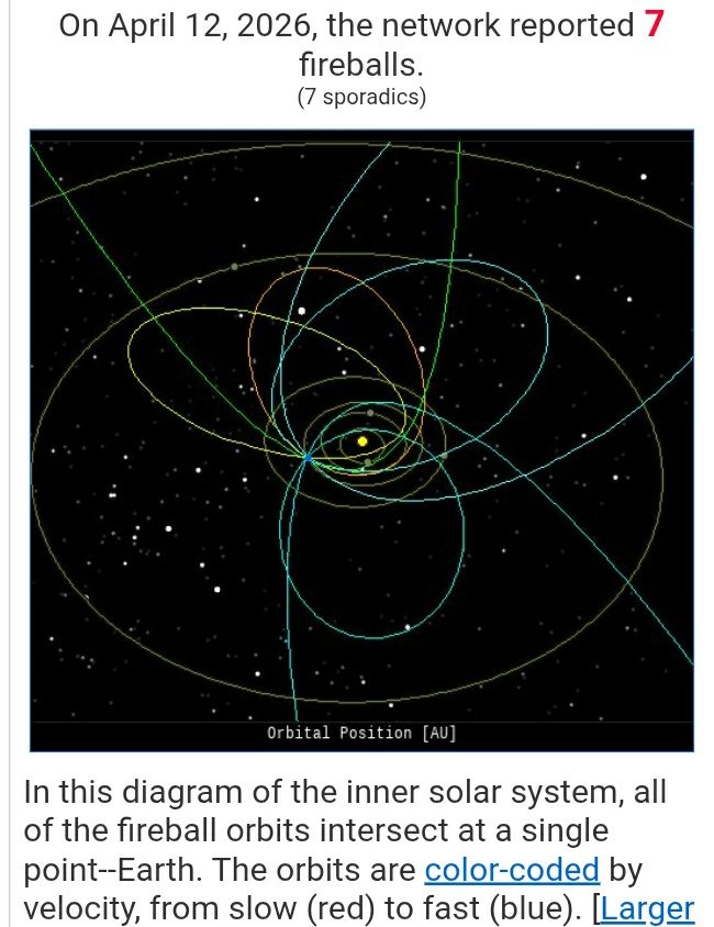 🐝 free to 🐝 free tweet media
