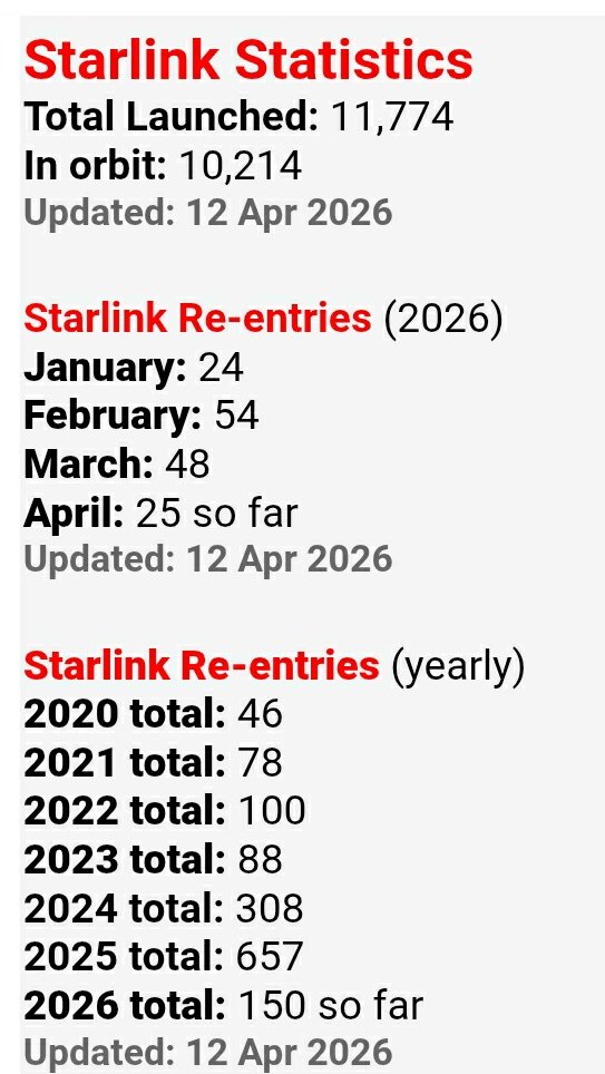 🐝 free to 🐝 free tweet media