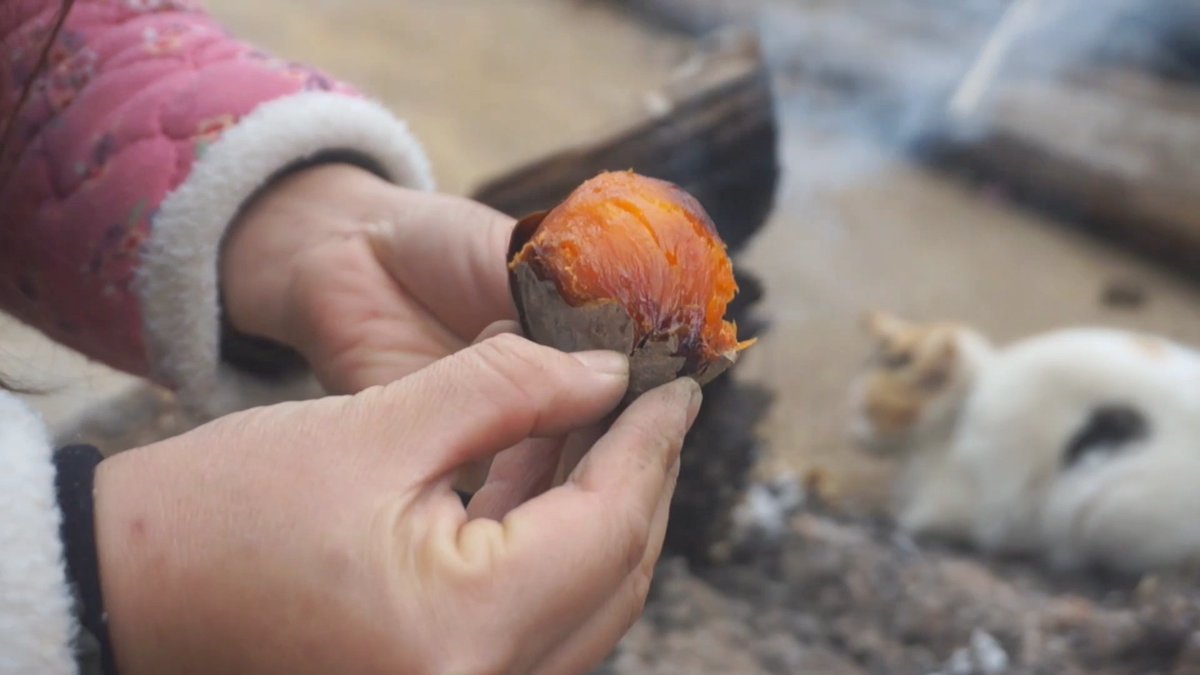 prachiarora02's tweet image. Christmas Special: Honey-Glazed Ham + Creamy Mashed Potatoes!  Served with spiced cranberry sauce u0026 rosemary veggies—limited time, grab yours before it’s gone!   #FestiveFeast #Christmas2024