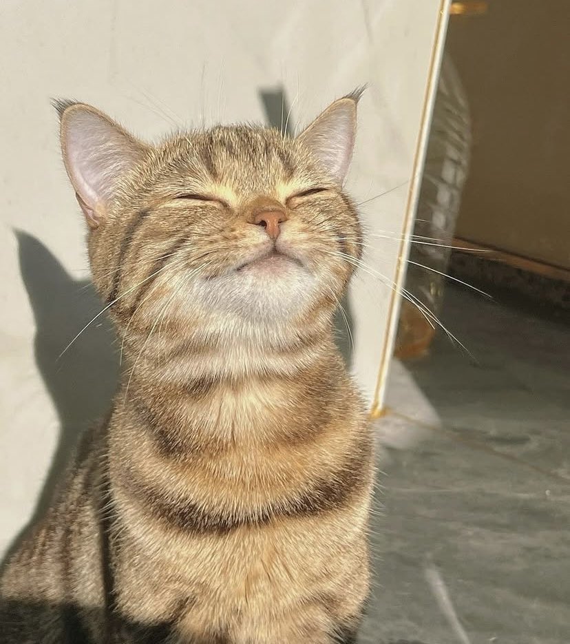 Jes Høgh tweet media