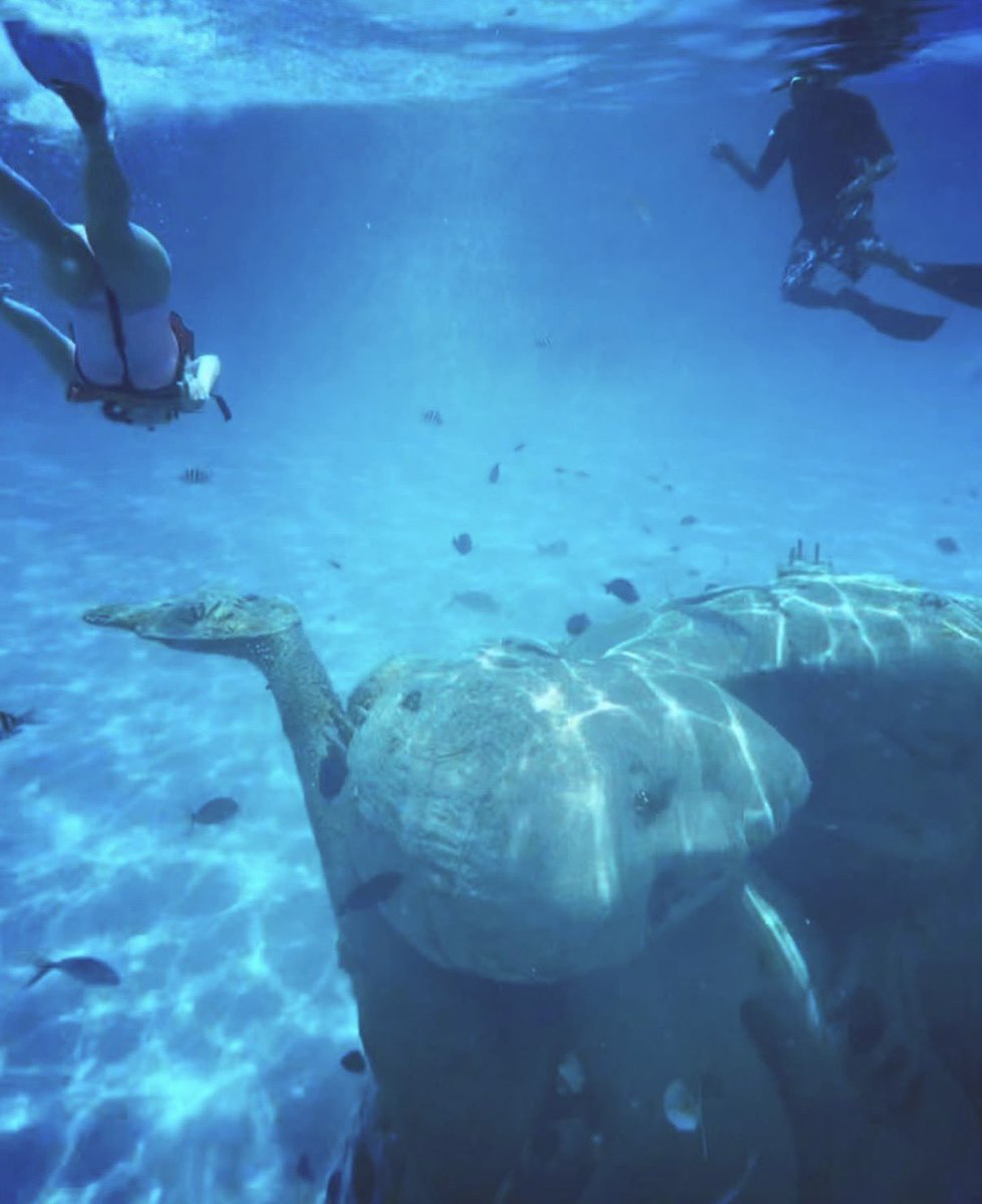 โขbโข โ๐โจโค๏ธโ๐ฅ tweet media