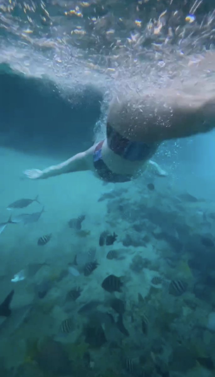 •b• 🌙✨❤️🔥 tweet media