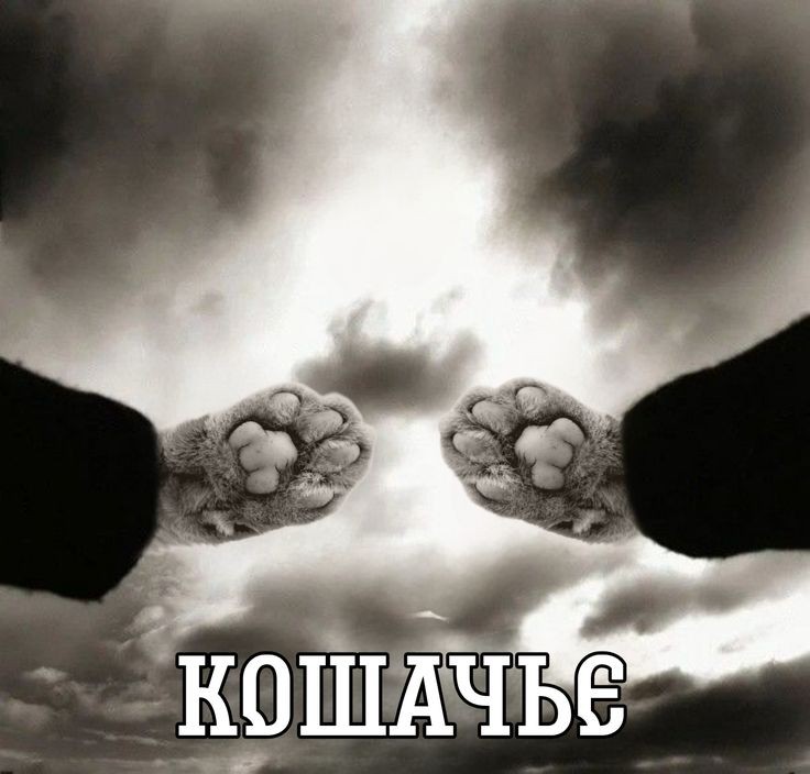 anxkitty 🔶️💧 tweet media