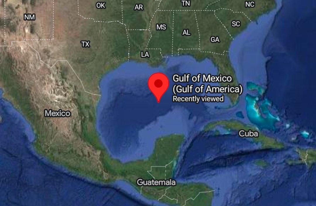 Pope D 🍄 tweet media