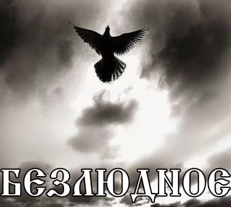 anxkitty 🔶️💧 tweet media