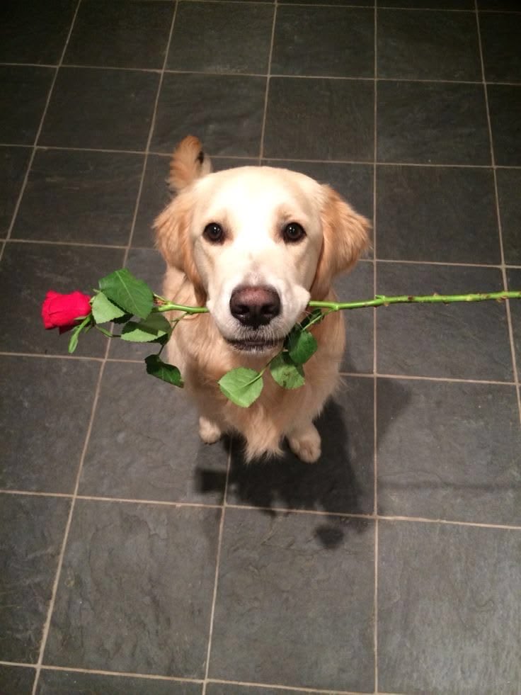 junwix/sevEN77 tweet media