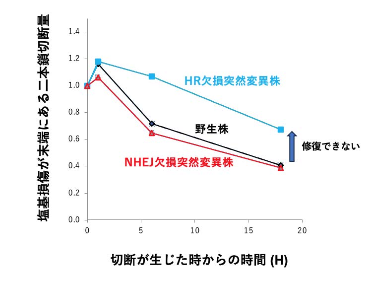 南方熊楠の小部屋 tweet media