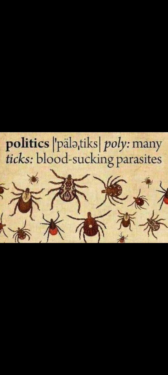 Krystian tweet media