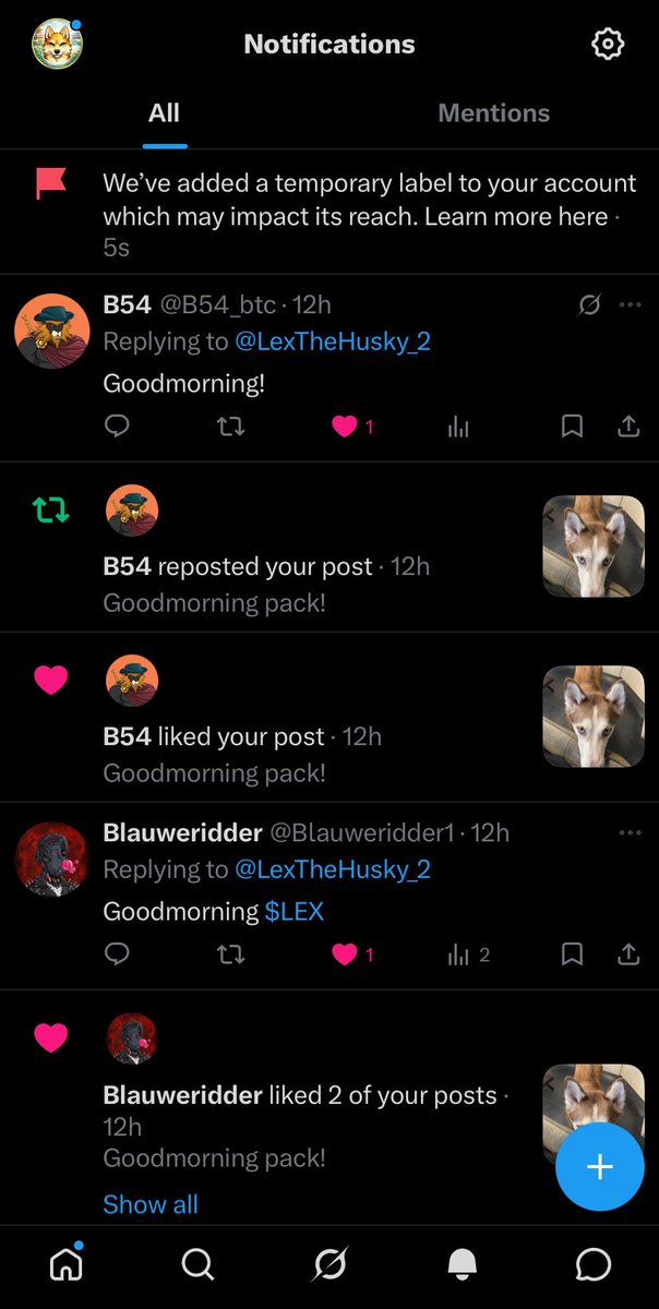 LexTheHusky_2's tweet photo. Damn🫠
#LexTheHusky https://t.co/gRNrqqzaSu