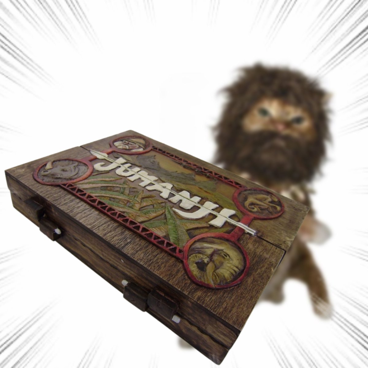 Throwing Things Daily tweet media