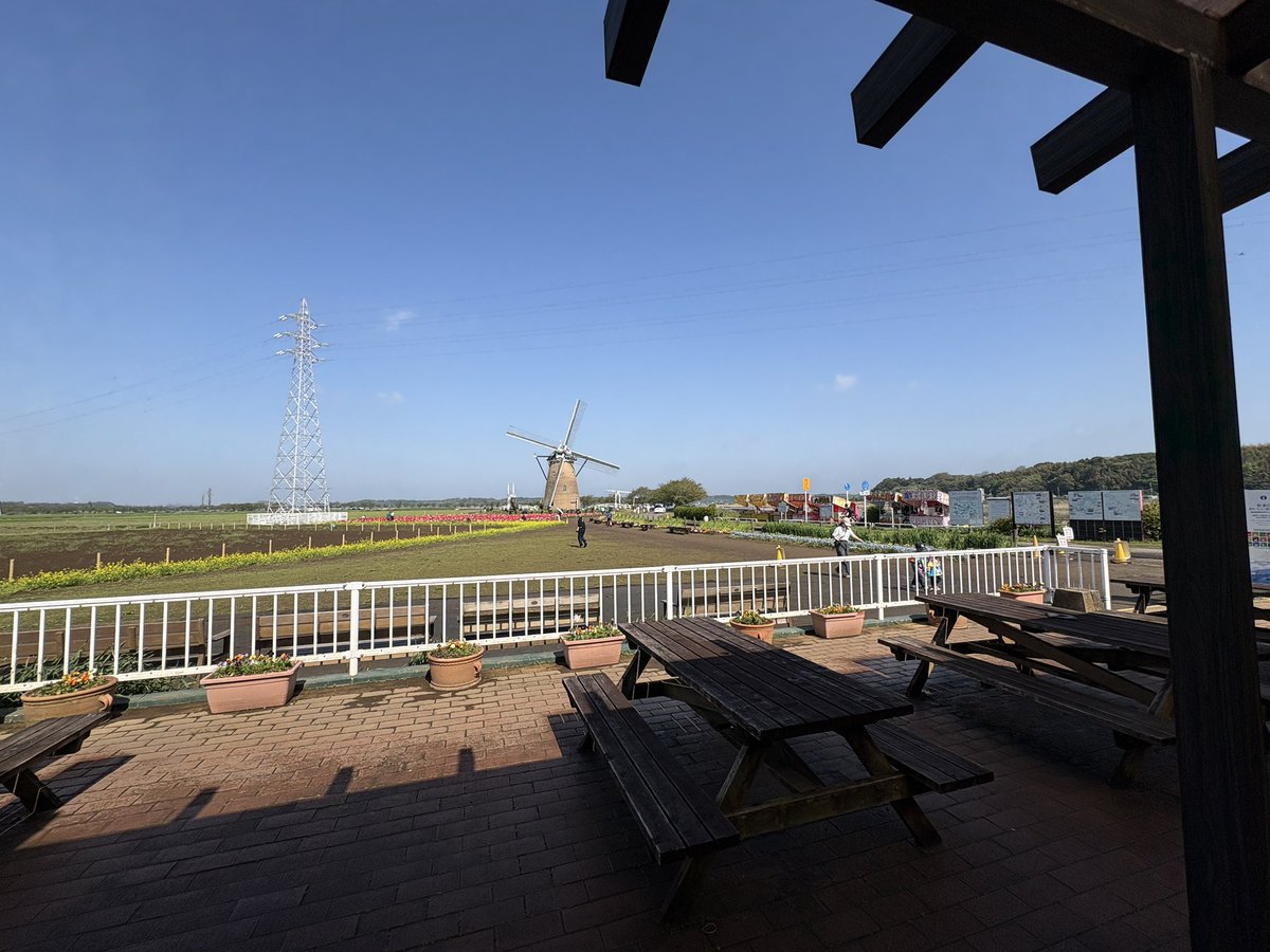 マチューッピ tweet media