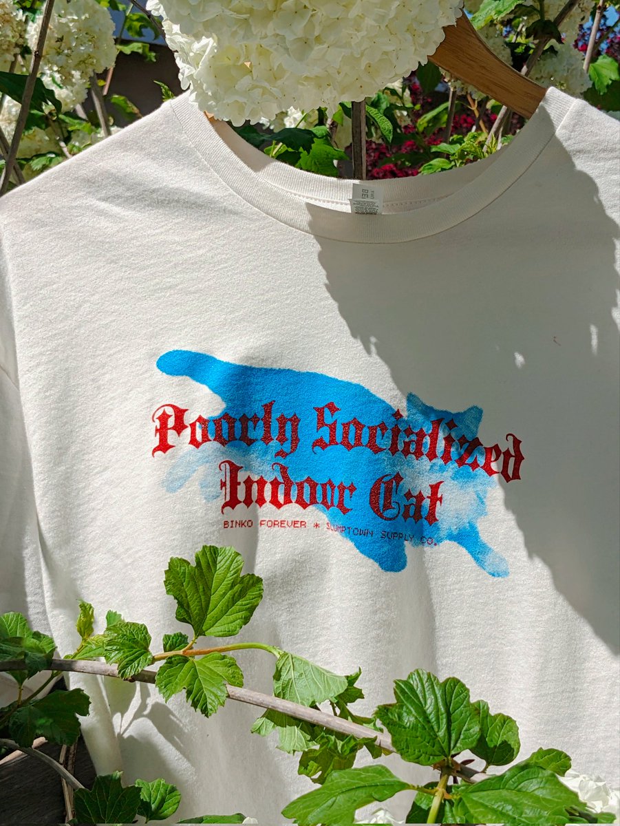 dollgirls ✿ store open 💘 tweet media