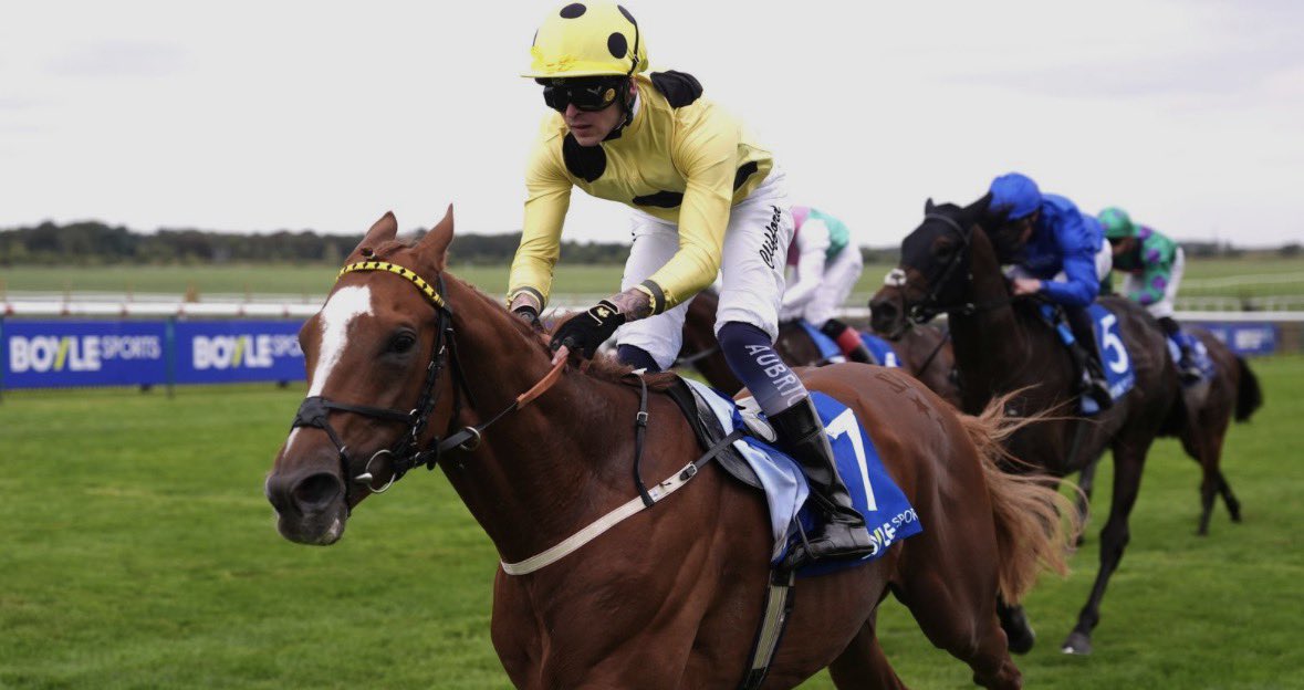 Owen🐎 tweet media