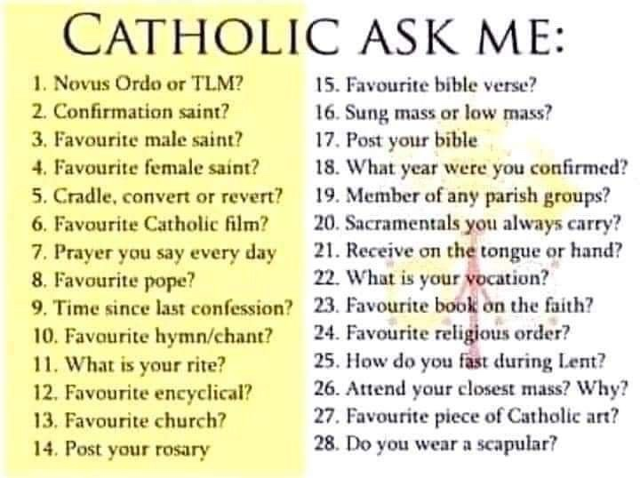 Verlustt🇻🇦 tweet media