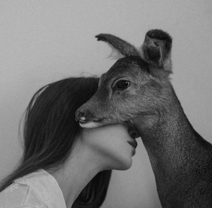 ✶ᓚ꯭⎽ͣ⎽ᷤ⎽ᷤ⎽꯭ͣ⎽ᷞɺɹ꯭ɹ꯭ɹ⎽ϛ tweet media