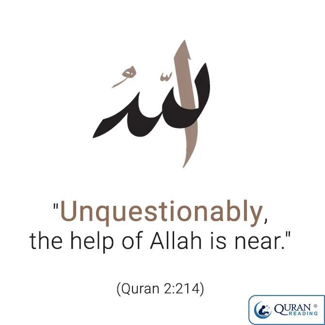 𝑨𝑫𝑵𝑨𝑵 tweet media