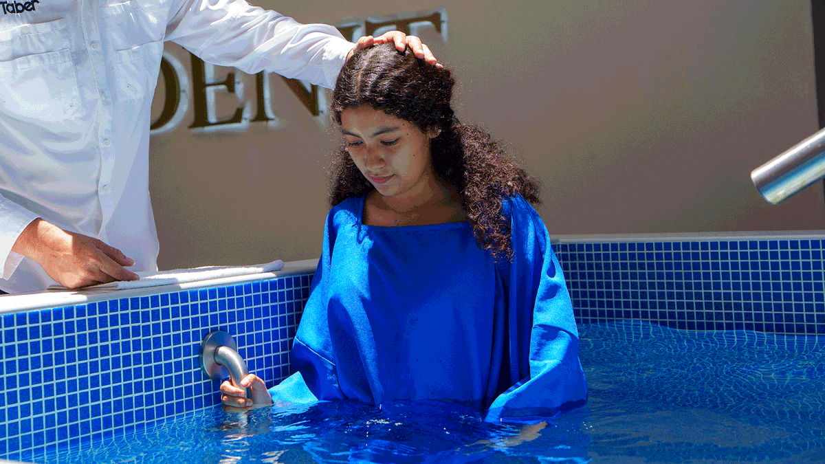 Tabernáculo Central tweet media