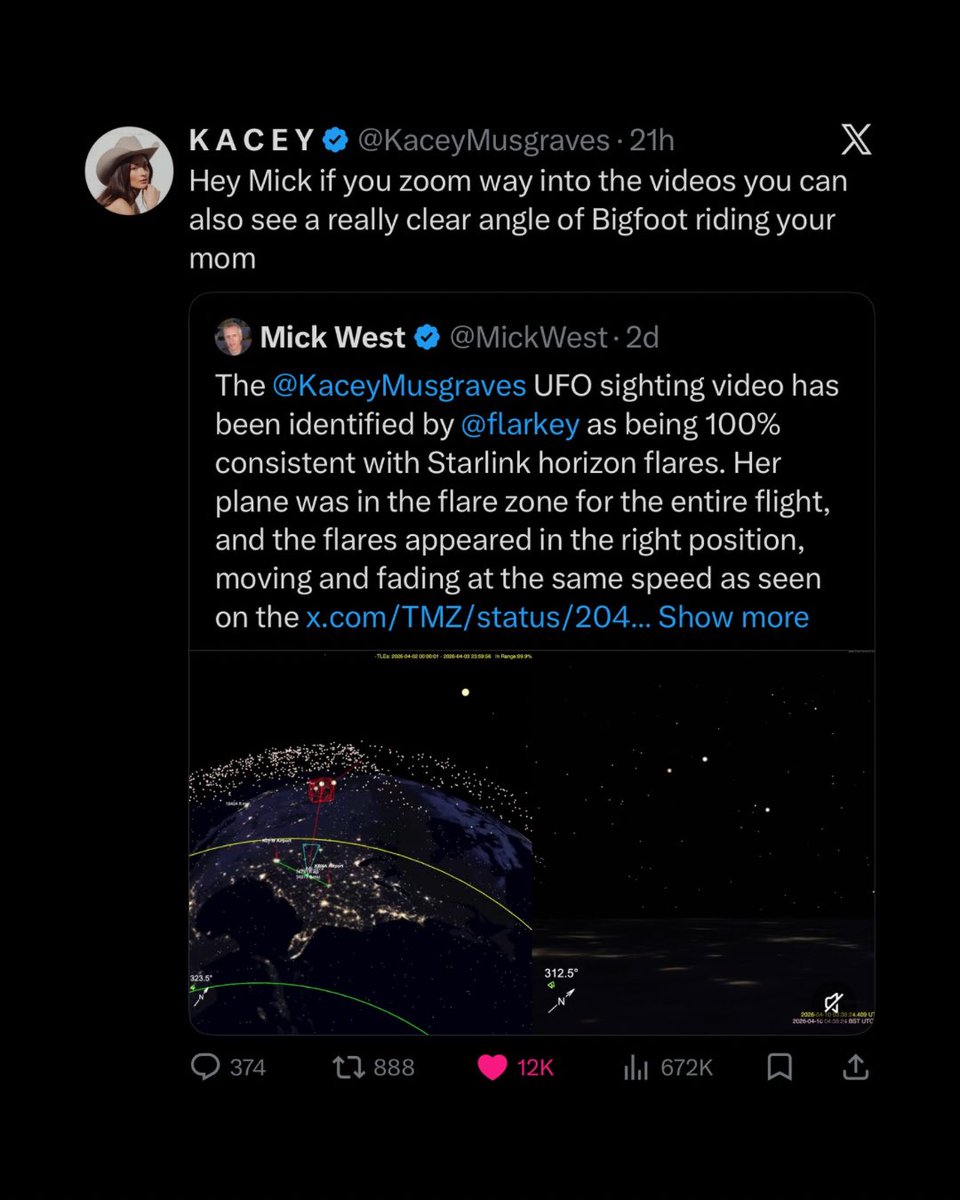 Red Panda Koala tweet media