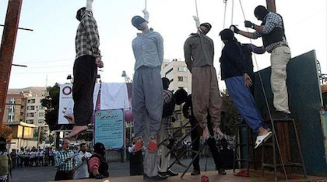 Pedro A.👑💚🇪🇸💚🇪🇸🔺 tweet media