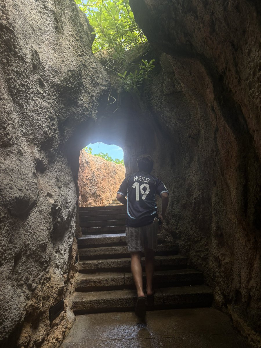 noahzones tweet media