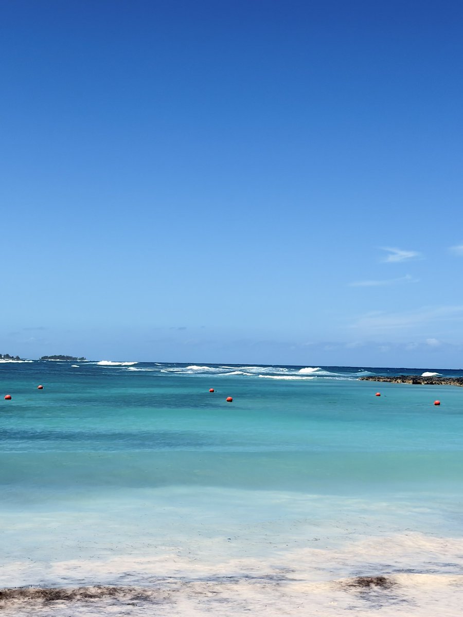 noahzones tweet media