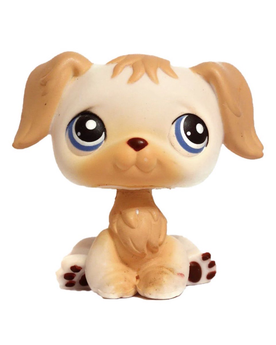 princess diana tweet media