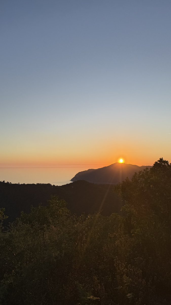 حياة tweet media