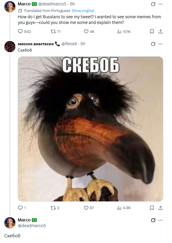 товарищ гуччи 🐗 tweet media