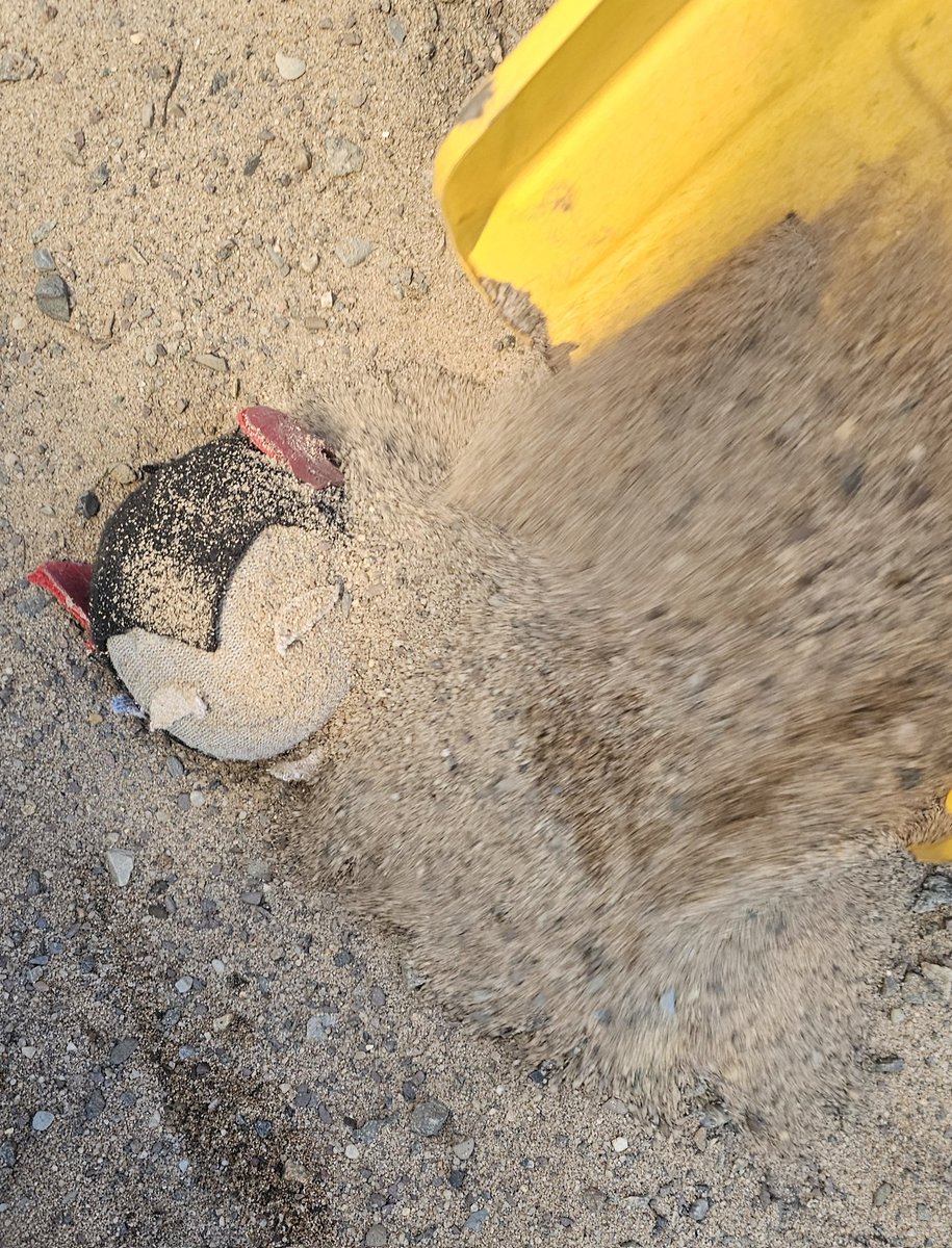 nicheloudpack73 tweet media