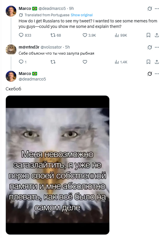 товарищ гуччи 🐗 tweet media