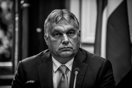 Daractenus tweet media