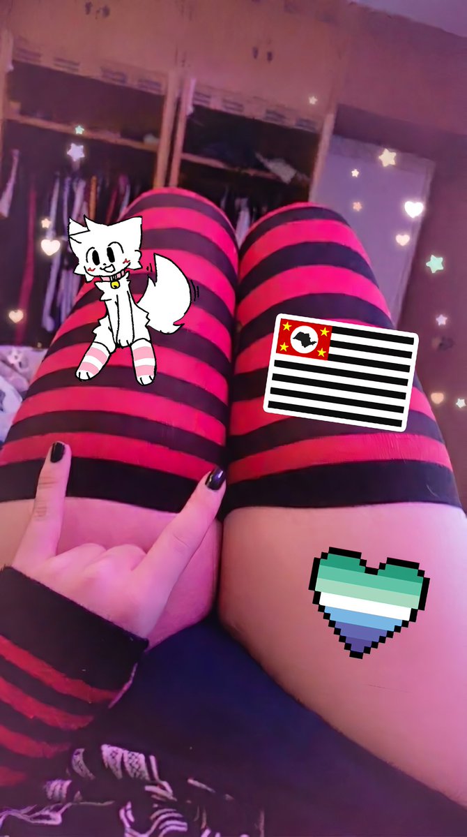 🏳️‍⚧️ Starly, a bandeirante 🇾🇪 tweet media