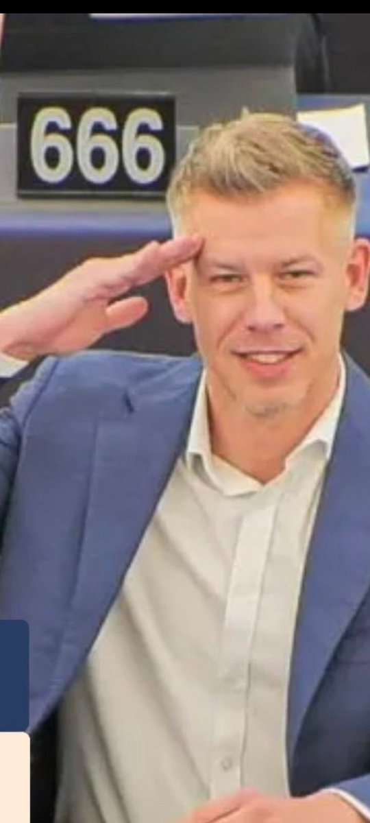 Leśna Żabka tweet media