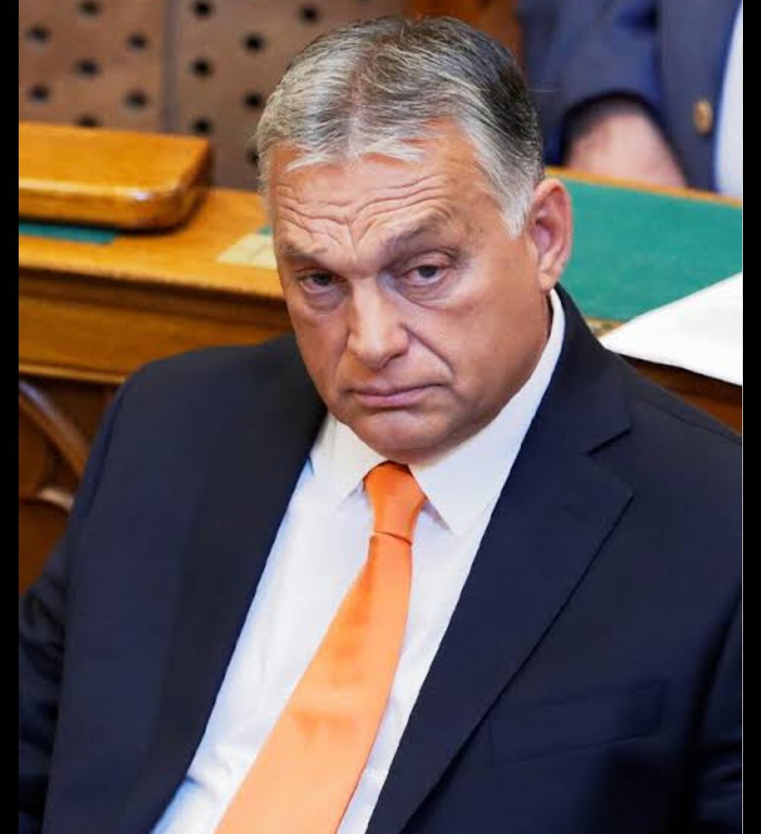 צליל לידרור Tslil Lidror tweet media