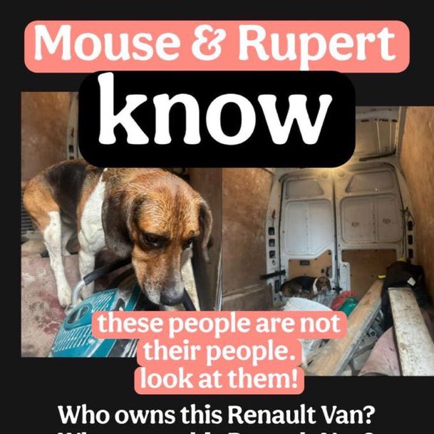 LisaClareRead2's tweet image. Please RT 🙏
Have you seen Rupert &amp;amp; Mouse? 
They were stolen on 19th January 2026 from #Clonmel #Tipperary , #SouthernIreland 
Do you recognise this van? 
Please help get them home 🏠 
Call Cashel/ Clonmel GS with any info. Thank you 🙏 
#stolendoghour #WeekendVibes