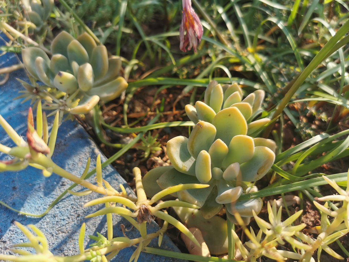 Yenifer R tweet media