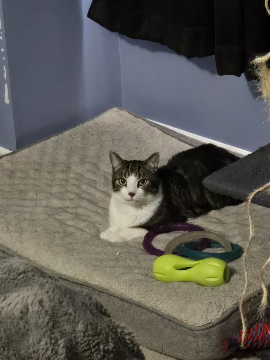 Argo🪷 tweet media