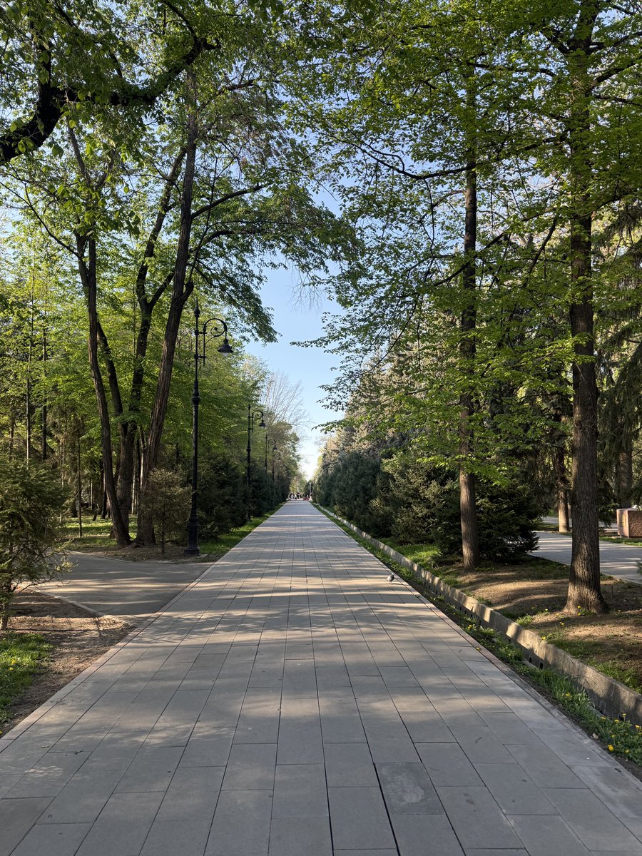 RASS 🪴 tweet media